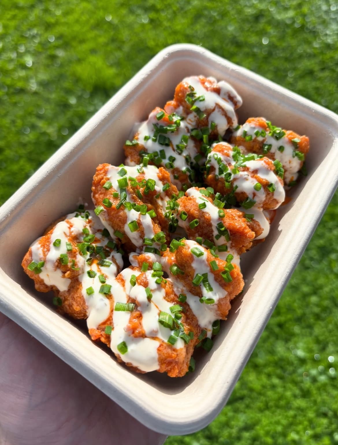 Golden crispy chicken close-up